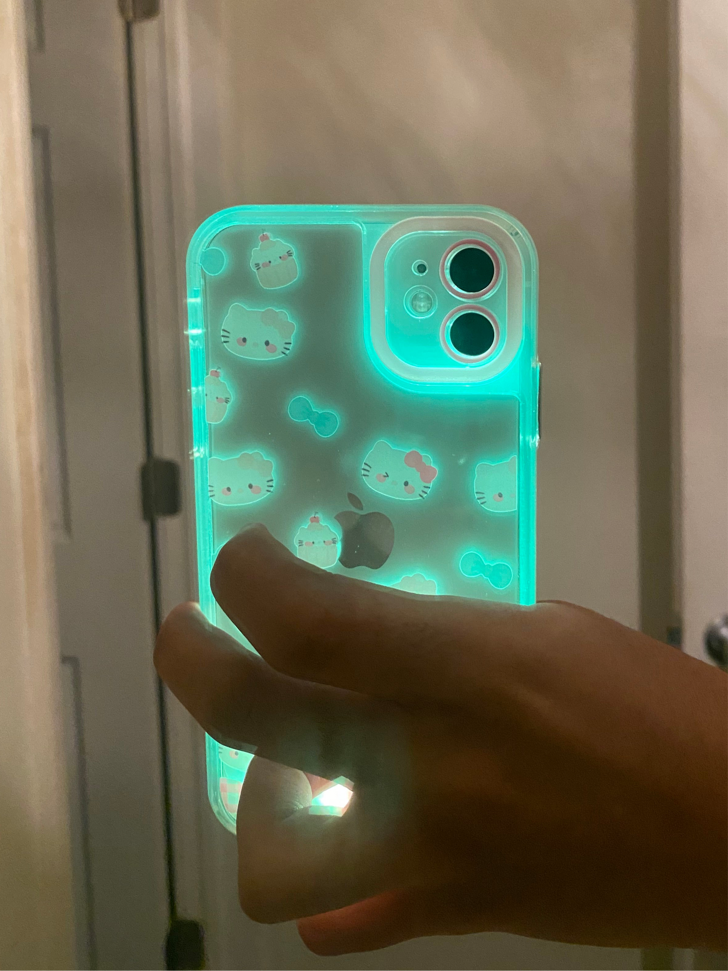 Led phone case preorder
